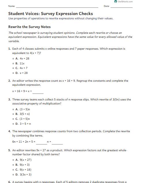 Student Voices: Survey Expression Checks worksheet preview
