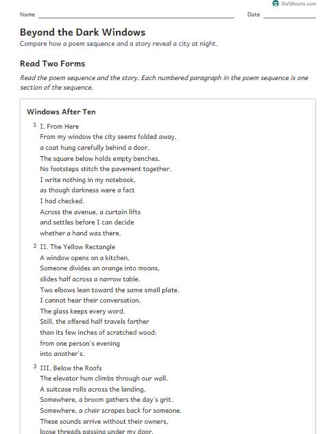 Beyond the Dark Windows worksheet preview