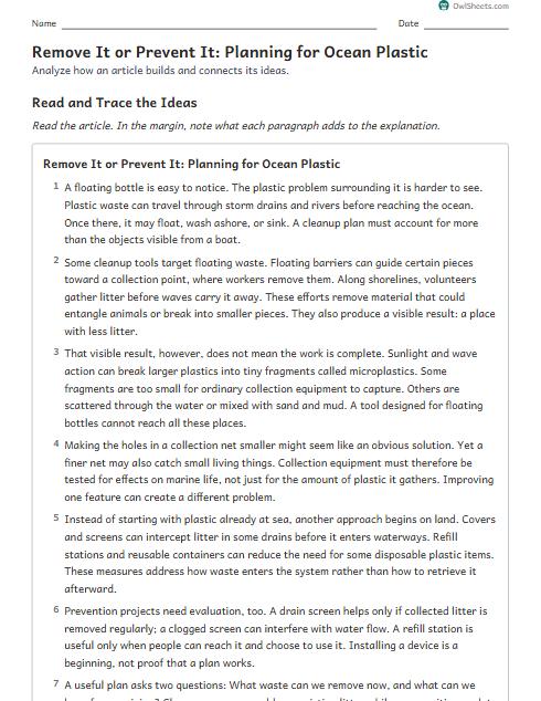 Remove It or Prevent It: Planning for Ocean Plastic worksheet preview