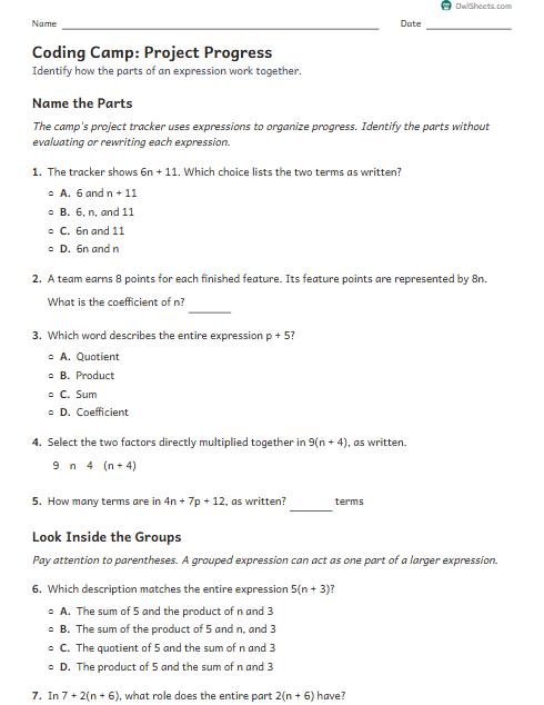 Coding Camp: Project Progress worksheet preview