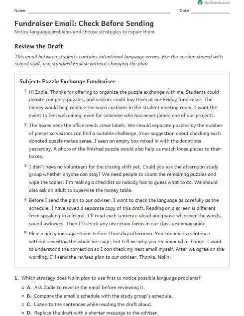 Fundraiser Email: Check Before Sending worksheet preview