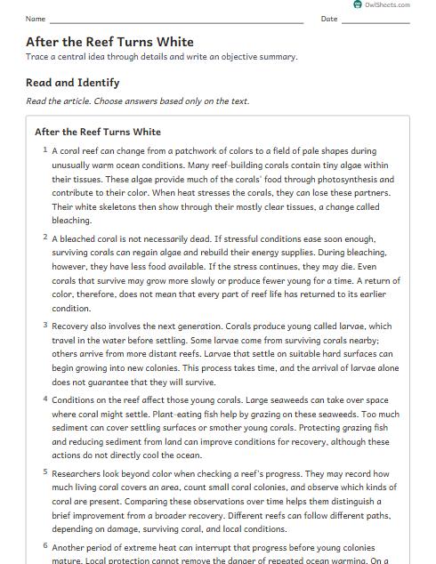 After the Reef Turns White worksheet preview