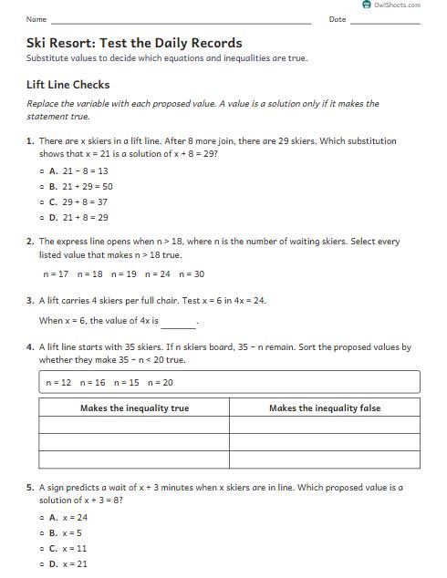 Ski Resort: Test the Daily Records worksheet preview