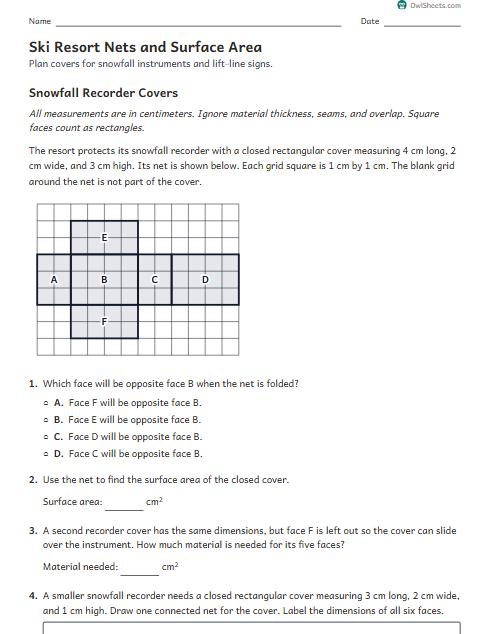Ski Resort Nets and Surface Area worksheet preview