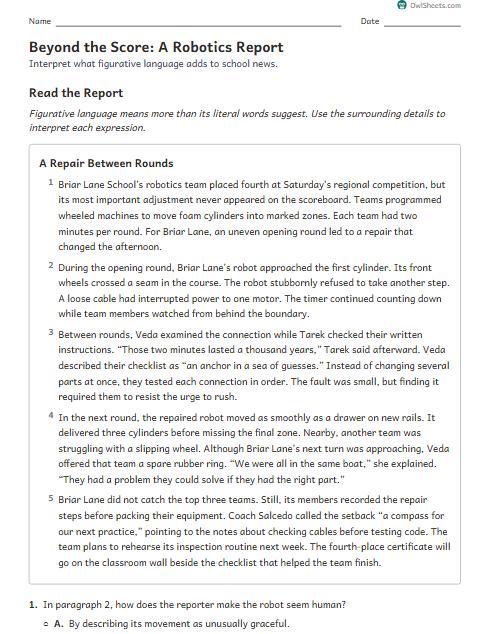 Beyond the Score: A Robotics Report worksheet preview