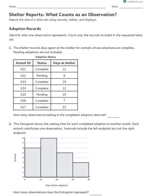 Shelter Reports: What Counts as an Observation? worksheet preview