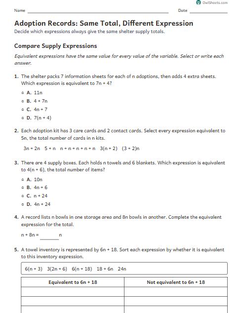 Adoption Records: Same Total, Different Expression worksheet preview