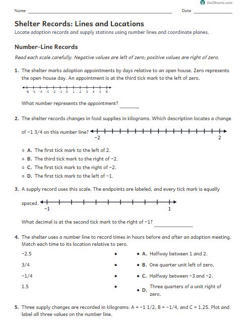 Shelter Records: Lines and Locations worksheet preview