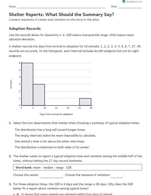 Shelter Reports: What Should the Summary Say? worksheet preview