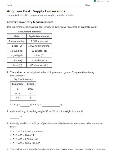 Adoption Desk: Supply Conversions worksheet preview