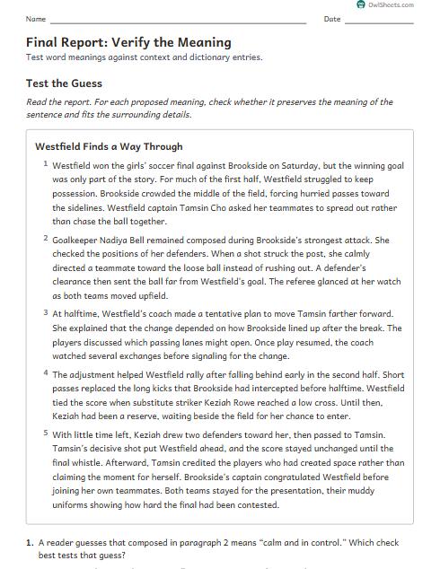 Final Report: Verify the Meaning worksheet preview