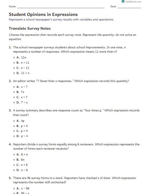Student Opinions in Expressions worksheet preview