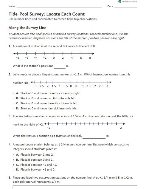 Tide-Pool Survey: Locate Each Count worksheet preview