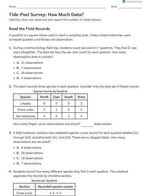 Tide-Pool Survey: How Much Data? worksheet preview