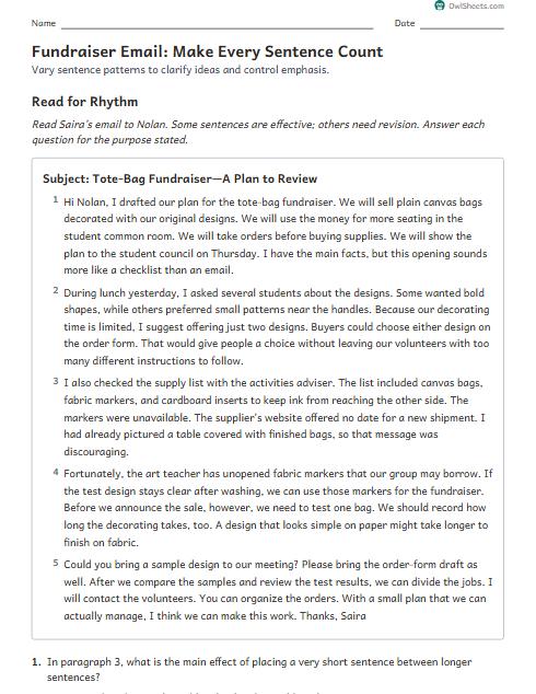 Fundraiser Email: Make Every Sentence Count worksheet preview