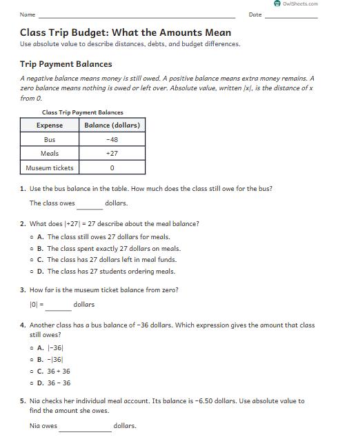 Class Trip Budget: What the Amounts Mean worksheet preview