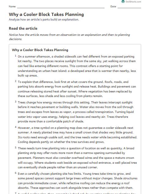 Why a Cooler Block Takes Planning worksheet preview