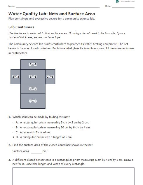 Water Quality Lab: Nets and Surface Area worksheet preview