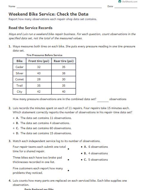 Weekend Bike Service: Check the Data worksheet preview