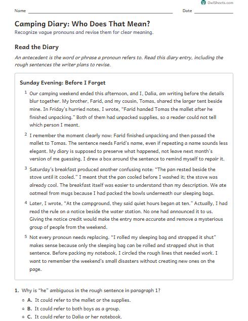 Camping Diary: Who Does That Mean? worksheet preview