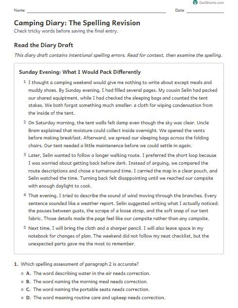 Camping Diary: The Spelling Revision worksheet preview