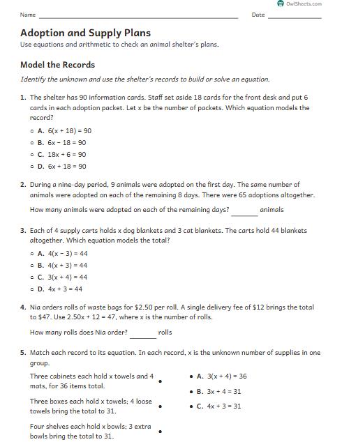 Adoption and Supply Plans worksheet preview