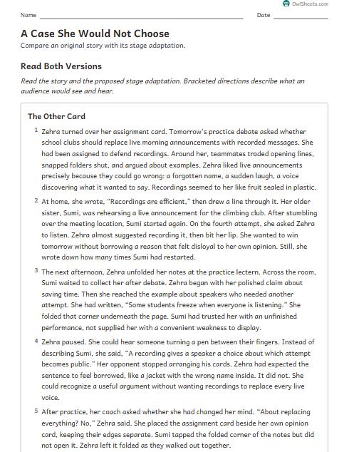 A Case She Would Not Choose worksheet preview