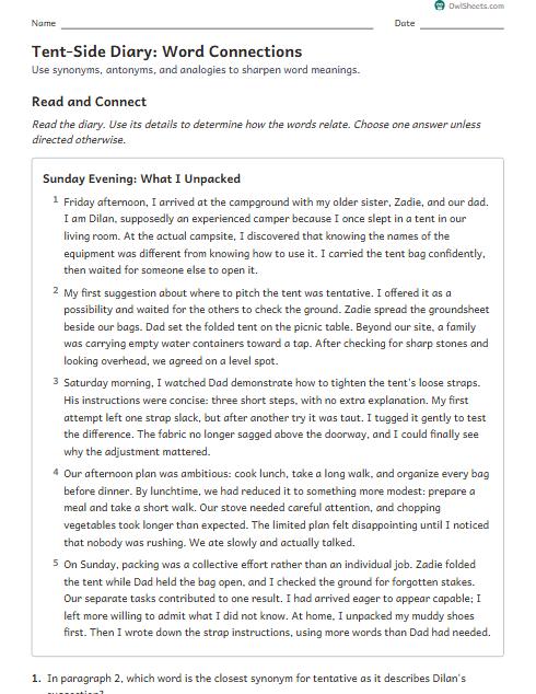 Tent-Side Diary: Word Connections worksheet preview