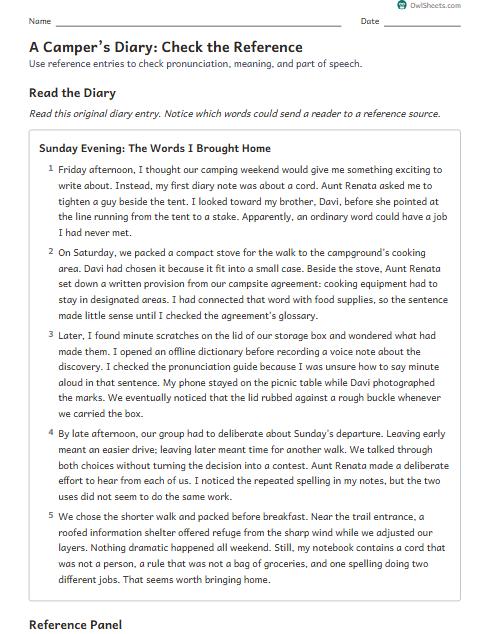 A Camper’s Diary: Check the Reference worksheet preview