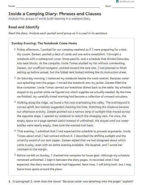 Inside a Camping Diary: Phrases and Clauses worksheet preview
