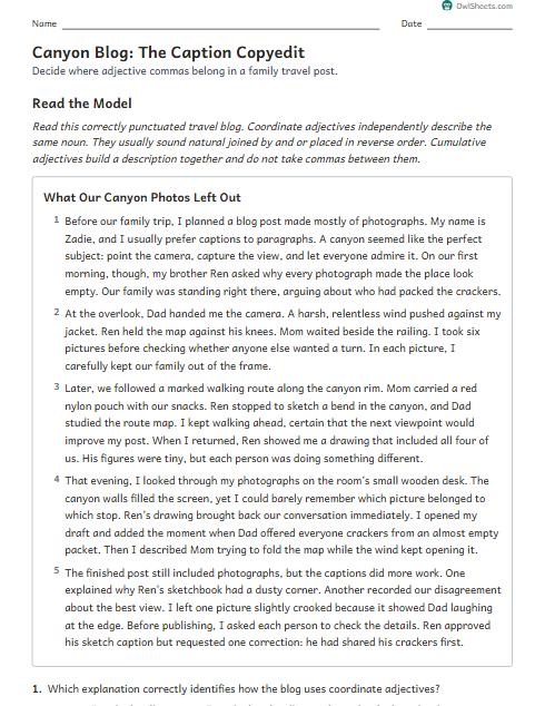 Canyon Blog: The Caption Copyedit worksheet preview
