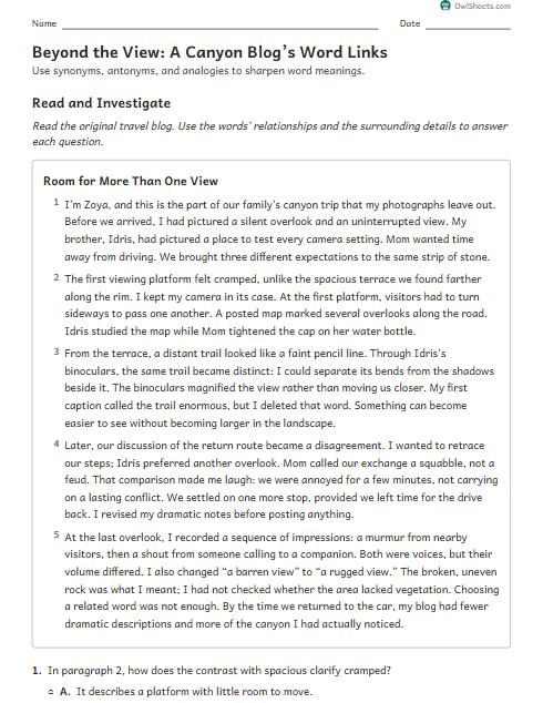 Beyond the View: A Canyon Blog’s Word Links worksheet preview