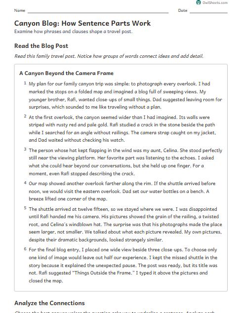 Canyon Blog: How Sentence Parts Work worksheet preview