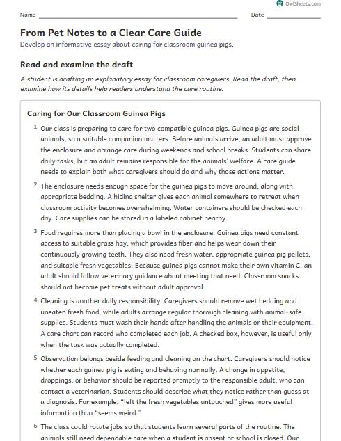 From Pet Notes to a Clear Care Guide worksheet preview