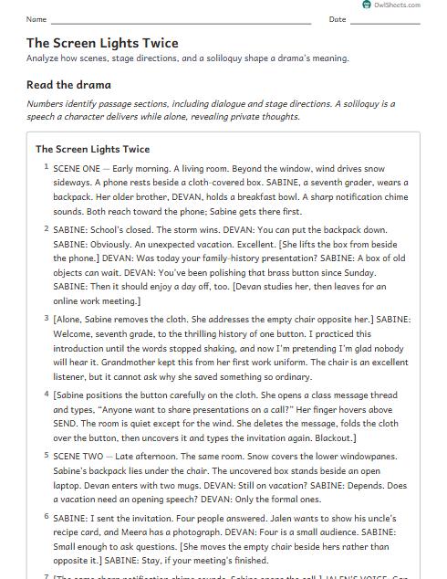The Screen Lights Twice worksheet preview