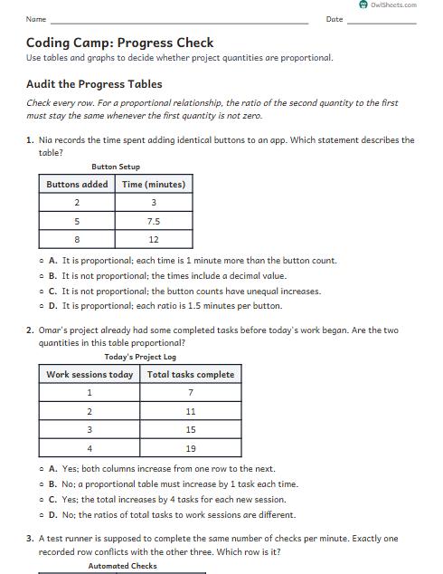 Coding Camp: Progress Check worksheet preview