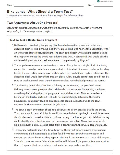Bike Lanes: What Should a Town Test? worksheet preview