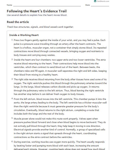 Following the Heart’s Evidence Trail worksheet preview