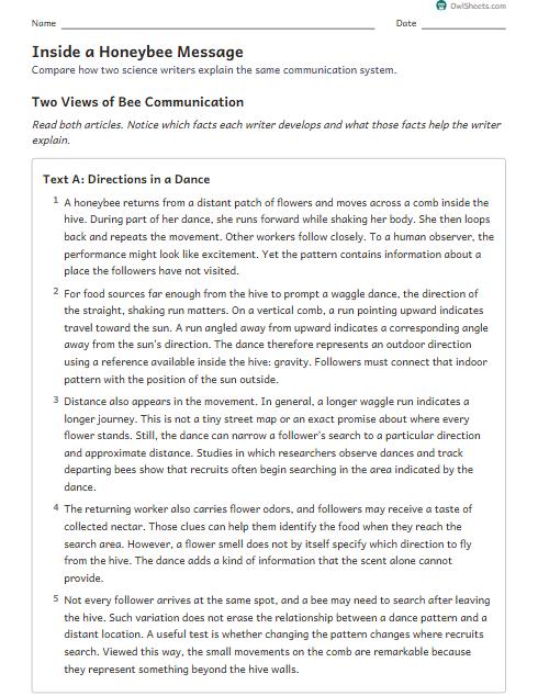 Inside a Honeybee Message worksheet preview