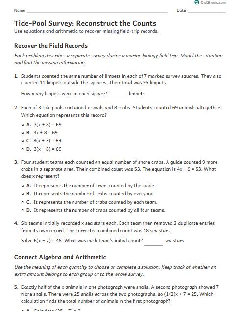 Tide-Pool Survey: Reconstruct the Counts worksheet preview