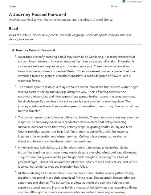 A Journey Passed Forward worksheet preview