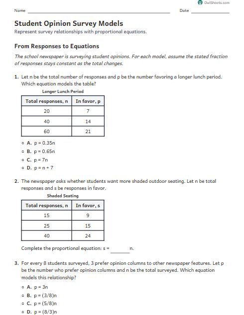 Student Opinion Survey Models worksheet preview