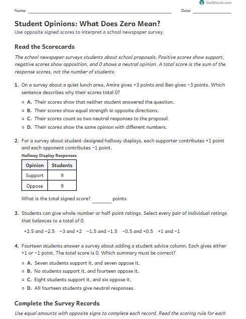 Student Opinions: What Does Zero Mean? worksheet preview