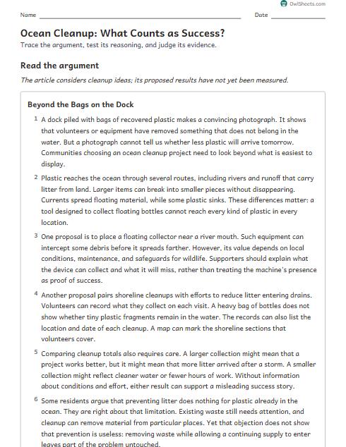 Ocean Cleanup: What Counts as Success? worksheet preview