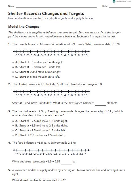 Shelter Records: Changes and Targets worksheet preview