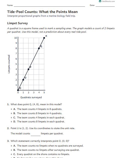 Tide-Pool Counts: What the Points Mean worksheet preview