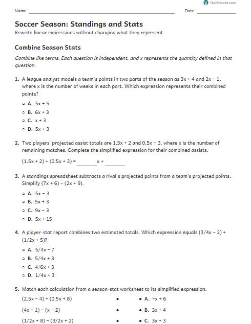 Soccer Season: Standings and Stats worksheet preview