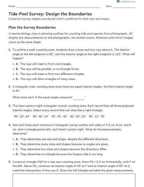 Tide-Pool Survey: Design the Boundaries worksheet preview