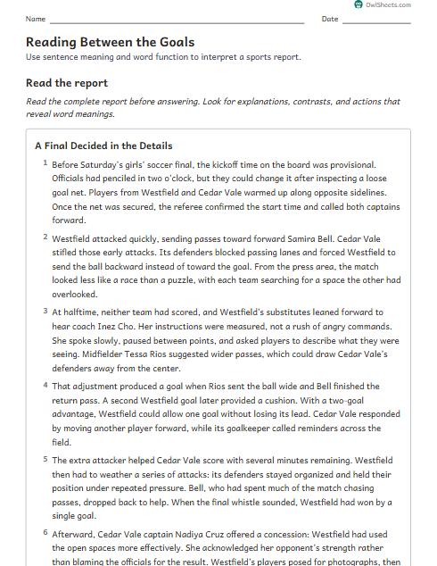 Reading Between the Goals worksheet preview