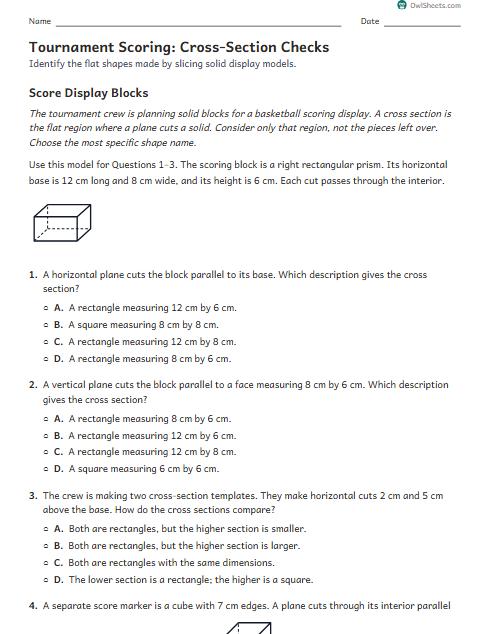 Tournament Scoring: Cross-Section Checks worksheet preview
